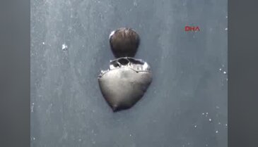 Derede ceset bulundu, fotoğraf çekmek için birbirleriyle yarıştılar!