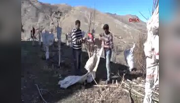 Tavşanlarla çuvallı mücadele