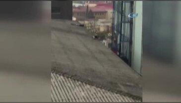 Ölümüne tadilat kameraya yansıdı