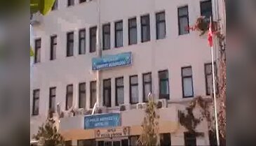 Lüks villaya yapılan baskında 'Sihirli mantar' bulundu