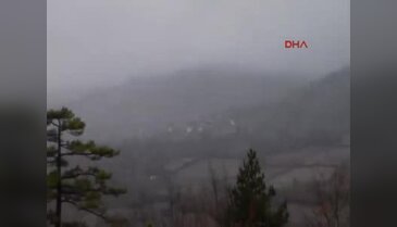 Kazdağları'ndaki ormanlarında korkutan hastalık