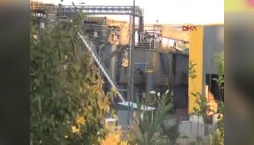 Çöplükte kesik kadın bacağı bulundu
