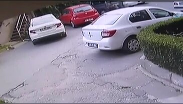 Mahallelinin korkulu rüyası haline geldi!