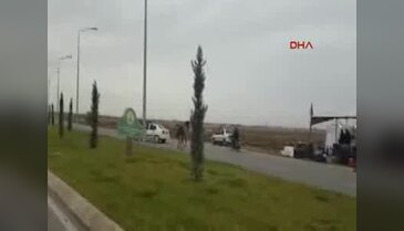 Sahibinin elinden kaçan at, zor anlar yaşattı