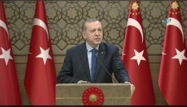 Millete döviz teşekkürü, Almanya'ya sert tepki