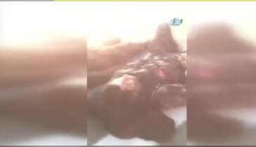 Vatandaşlar polislerin yardımına koştu