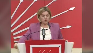 Selin Sayek Böke: Siz milli değil misiniz, niye 78 milyon dolara uçak aldınız - 2
