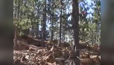 Çevrecilerden maden faaliyetlerine tepki