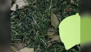 Kuyumculara sahte altın satmak isterken yakalandı