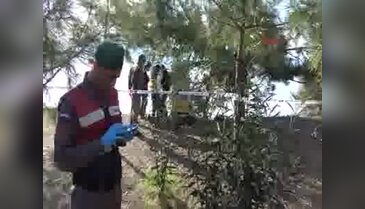 Kendini ağaca asarak intihar etti