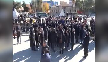 Şanlıurfa'da ücretsiz fidan dağıtımında izdiham