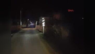 Kuş cennetinin bulunduğu alanda çıkan yangın söndü