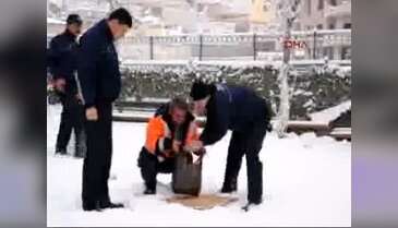İslahiye'de, aç kalan hayvanlara yem