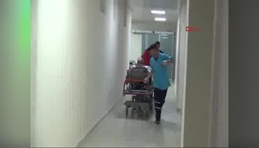 Ayı saldırısından köpekleri sayesinde yaralı kurtuldu