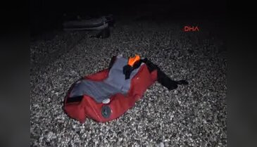 Balık merakı canından etti