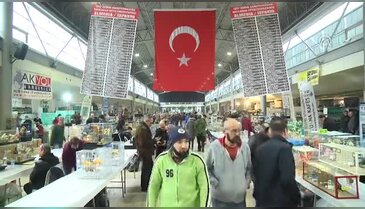 Bursa'da&nbsp;"21. Kanarya ve Kafes Kuşları Türkiye Şampiyonası"