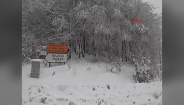 Bolu dağı'nda kar yağışı başladı