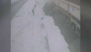 Dev tabela çocukların üzerine düştü