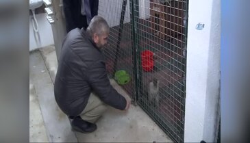 Sevimli maymunlar Bilecik'in ilgi odağı oldu
