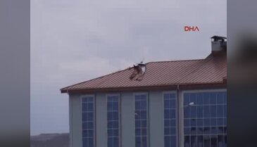 Edirne'de şiddetli rüzgar etkili oldu