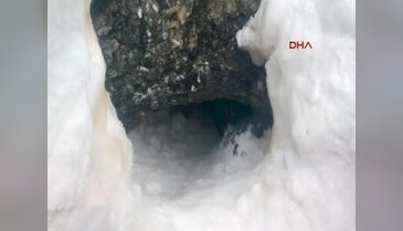 TSK'dan Siirt'te operasyon