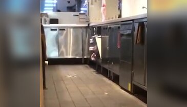 Dünyaca ünlü fast food zincirinde 'fare skandalı'