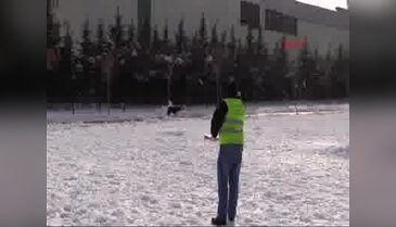 Uşak'ta karda aç kalan sokak hayvanlarına yiyecek