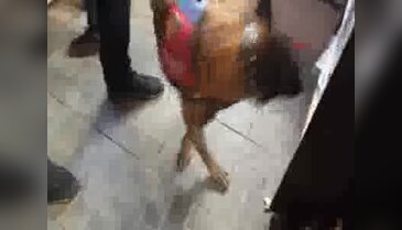 Ortaca'da alkollü içki denetimi