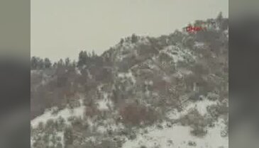 Çalılıklardan çıkan avcıyı domuz sanıp öldürdü