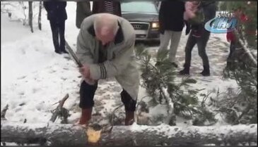 Haberal'ın aracının önüne ağaç devrildi