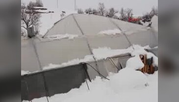 Yalvaç'ta seralar kardan çöktü