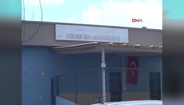 Yavru kediye işkence görüntüler hayvanseverleri ayağa kaldırdı