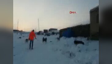 Elektrik sayaçlarını okumaya gidenlere köpekli karşılama