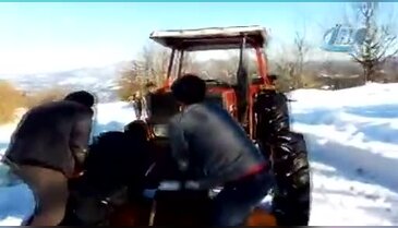 Firar eden ithal sığırlar, 3 gün sonra uyuşturucu iğne ile yakalandı