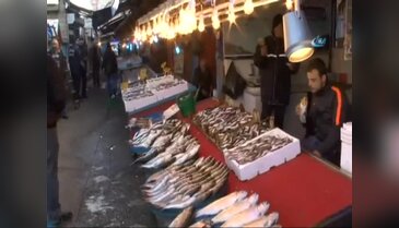Hamsi fiyatları el yakıyor