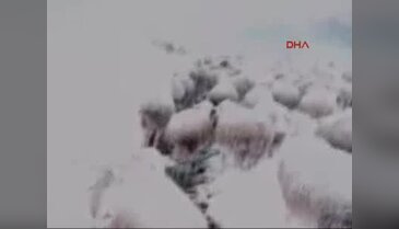 Bursa'da yayla yolu kapanınca çoban mahsur kaldı