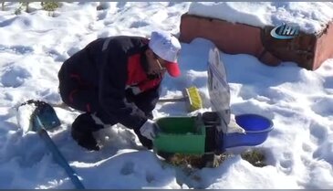 Çankırı'da sokak hayvanları aç ve susuz kalmıyor