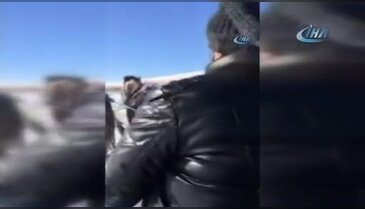Buz tutan Çıldır gölünde kızağa takılı atlar kavga etti