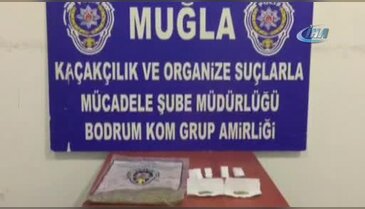 Kefir şişesinden bonzai çıktı