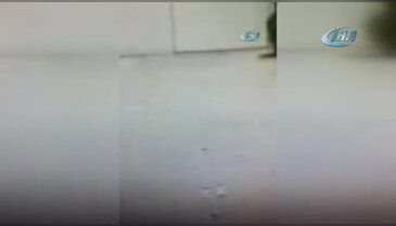 İstanbul Kartal'da telefon dolandırıcıları polise yakalandı