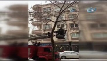 Ağaçta mahsur kalan kedi kurtarıldı