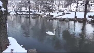 Bursa'da Botanik parkta kar keyfi