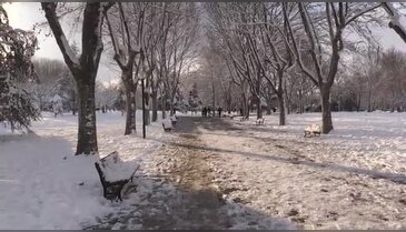 Bursa'da Botanik parkta kar keyfi - 2