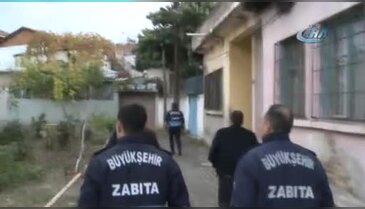 Midye çuvalları kümesten çıktı