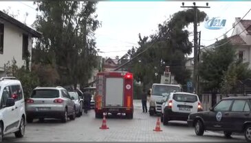 Fethiye'deki şiddetli fırtına ağaçları devirdi