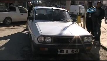 Minik buzağının otomobil keyfi