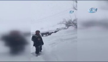 Atlar kar yağışı altında ölüme terk edildi