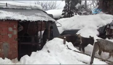 Bursa'da kar kütlesine dayanamayan dam çöktü