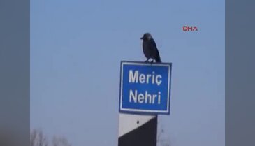 Trakya'da kar yerini buzlanmaya bıraktı