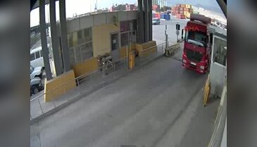 Limanda akıl almaz dolandırıcılık: 48 dana çalındı